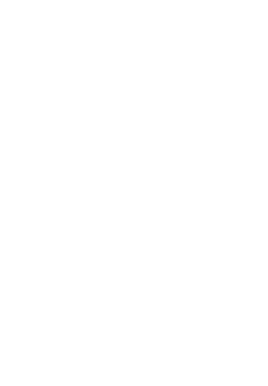 Lápis Raro
